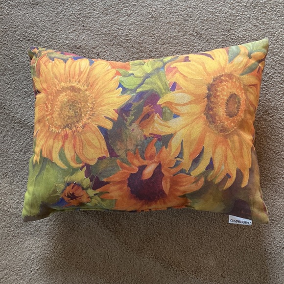 Climawave Indoor Outdoor Sunnyfaces Pillow - Picture 2 of 3